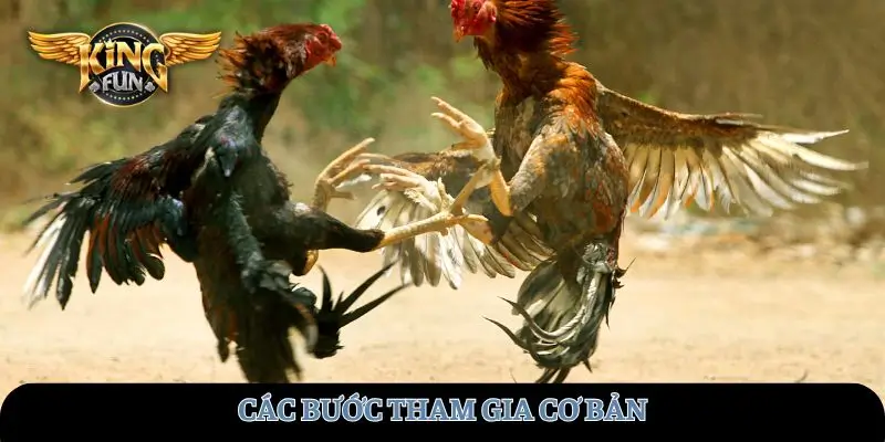 Các bước tham gia cơ bản