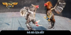 da-ga-cua-sat
