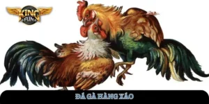 da-ga-hang-xao