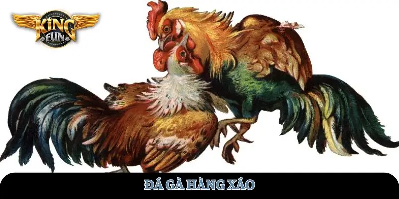 da-ga-hang-xao