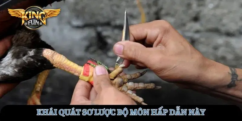 Khái quát sơ lược bộ môn hấp dẫn này