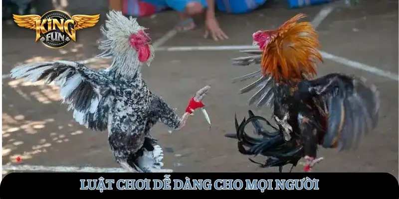 Luật chơi dễ dàng nhất