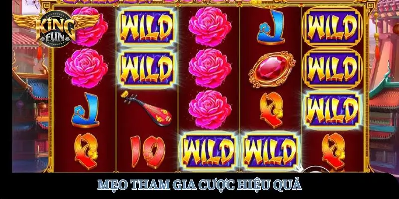 Mẹo tham gia cược hiệu quả