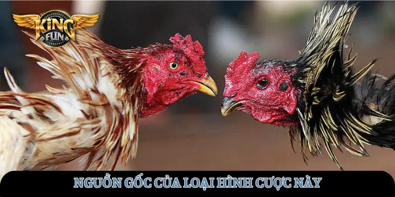Nguồn gốc của loại hình cược này