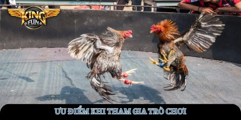 Ưu điểm khi tham gia trò chơi